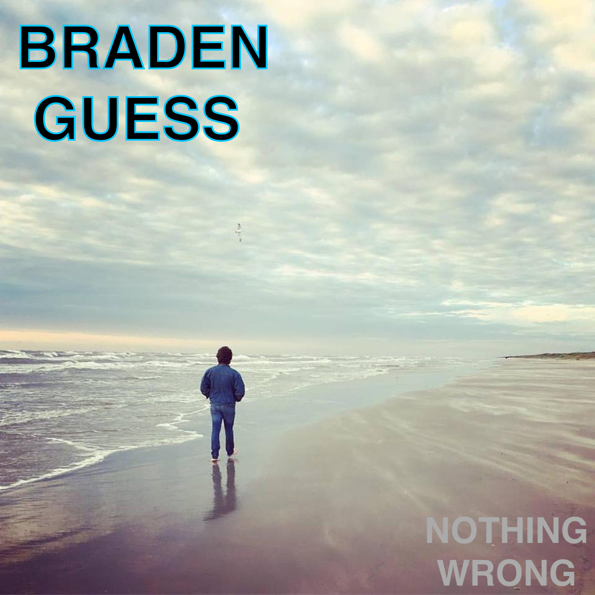 CD Album Braden Guess