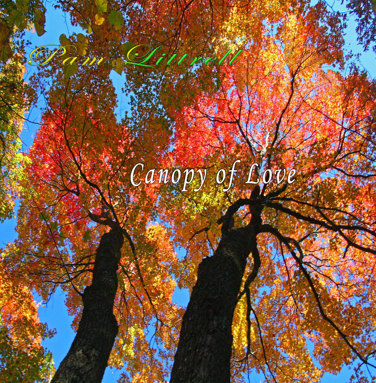 CD Album Canopy of Love